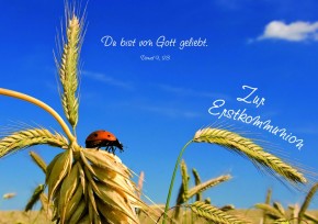 Zur Erstkommunion