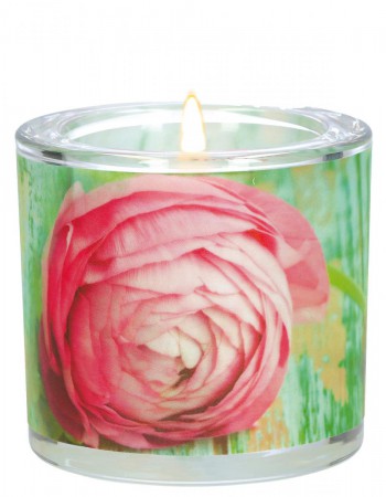 LichtMoment Alles Gute