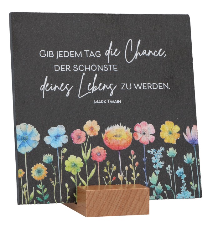 Schiefertafel - Die Chance