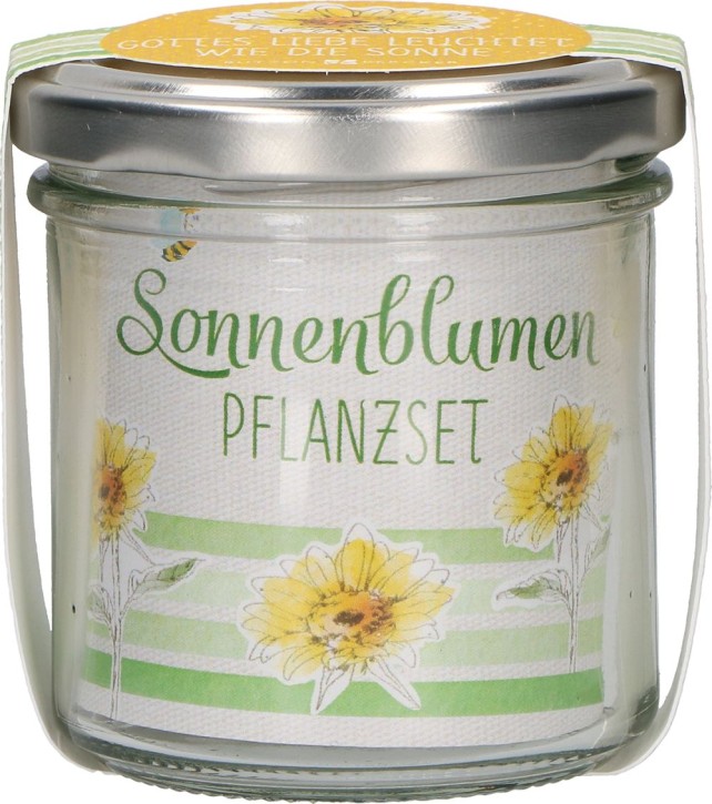 Sonnenblumen-Pflanzset - Gottes Liebe leuchtet wie die Sonne