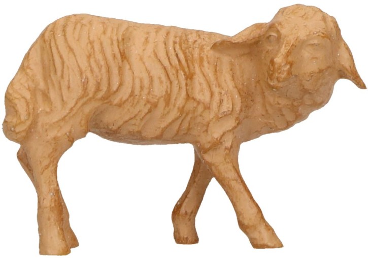 Krippenfigur Schaf, umschauend - Größe: 12 cm