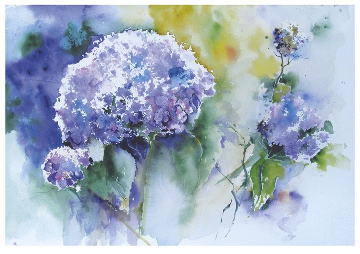 Hortensie in Blau