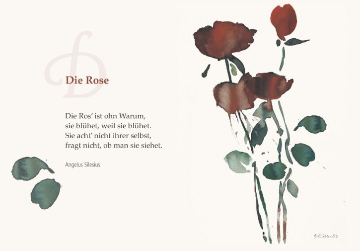 Die Rose