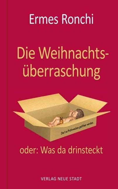 Die Weihnachtsüberraschung