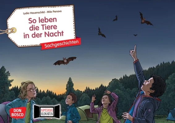 So leben die Tiere in der Nacht. Kamishibai Bildkartenset