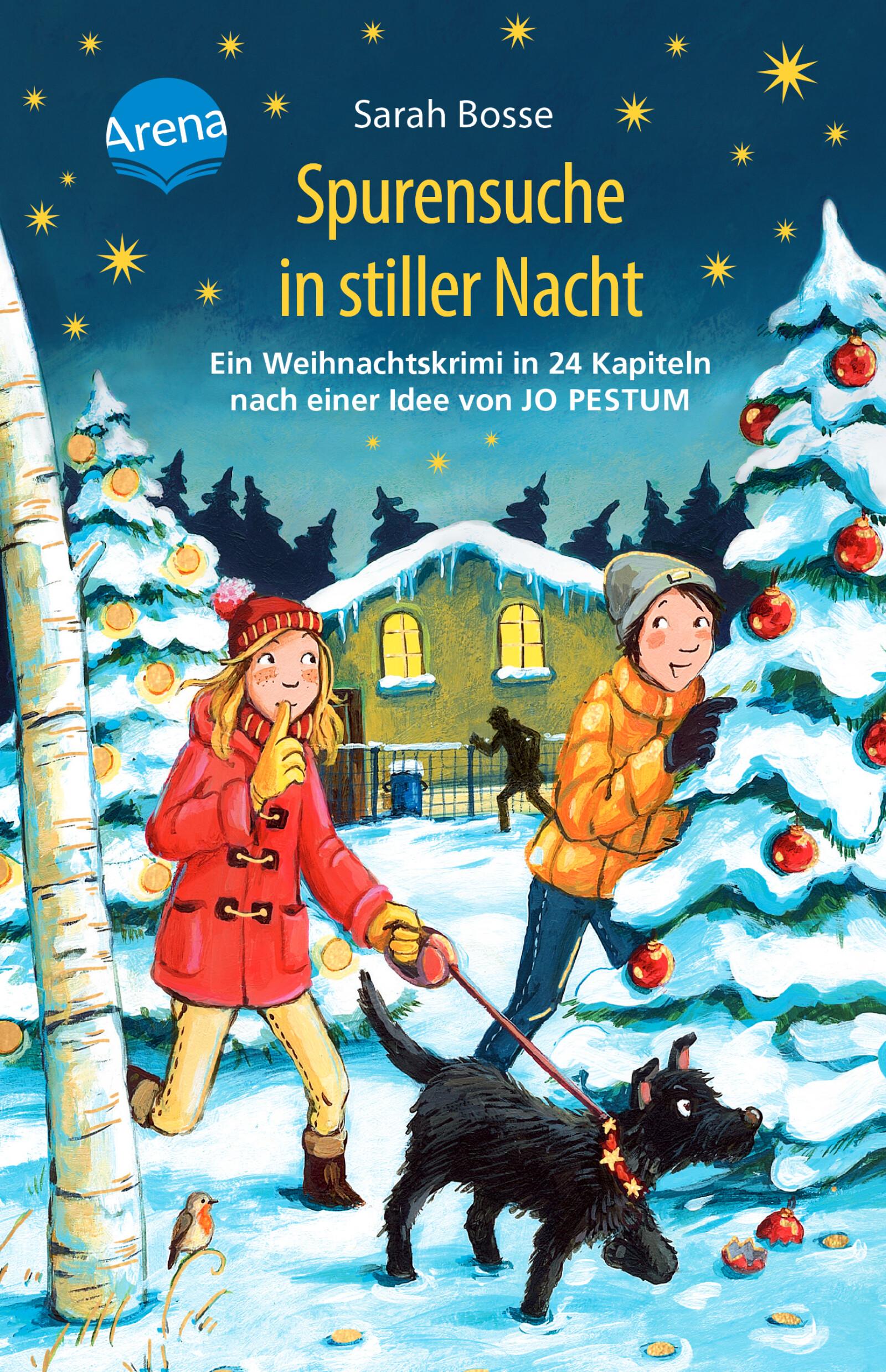 Spurensuche in stiller Nacht - Weihnachtskrimi (24 Kapitel)
