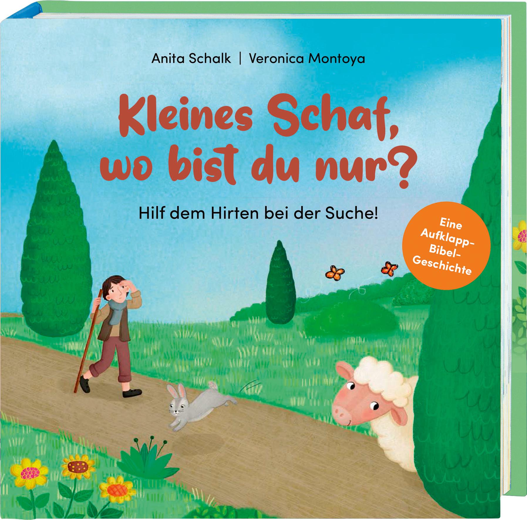 Kleines Schaf, wo bist du nur?