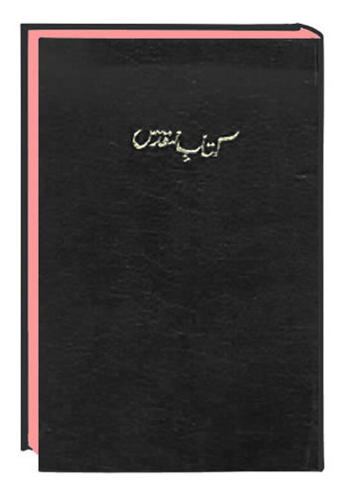 Bibel Urdu (Persian)