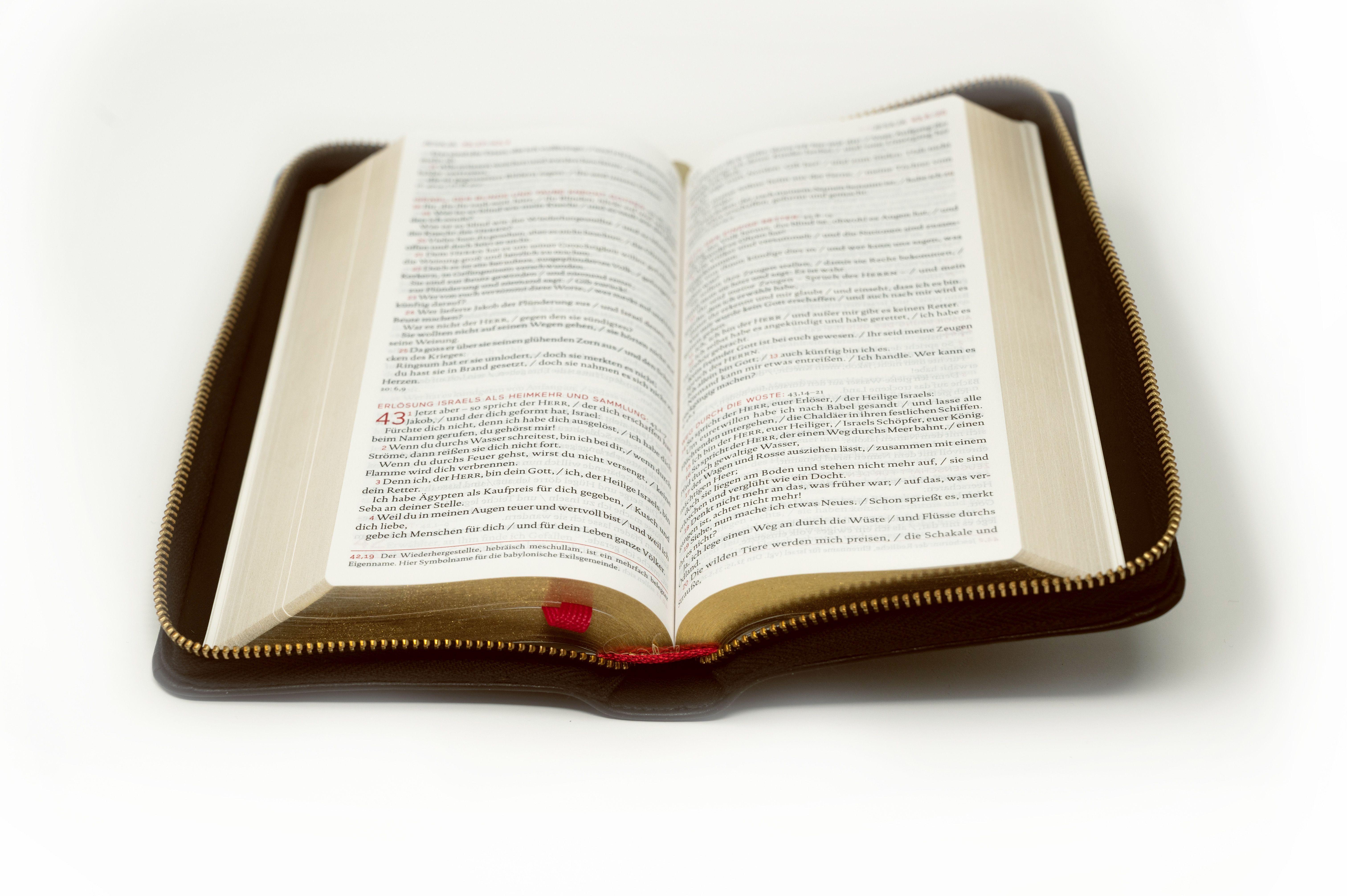 Die Bibel. Einheitsübersetzung (Taschenausgabe)