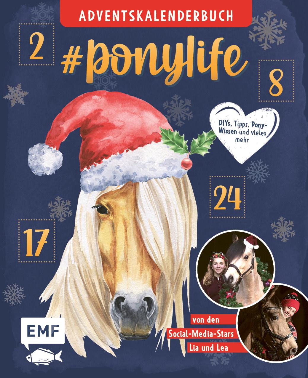 ponylife - Adventskalenderbuch (von Lia und Lea)
