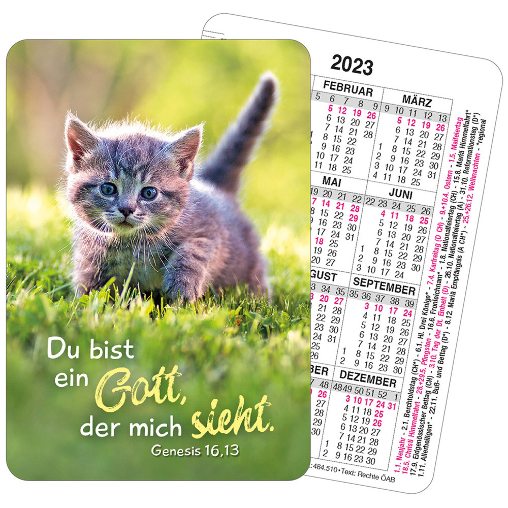 Spielkarten-Kalender 2023 - Katze