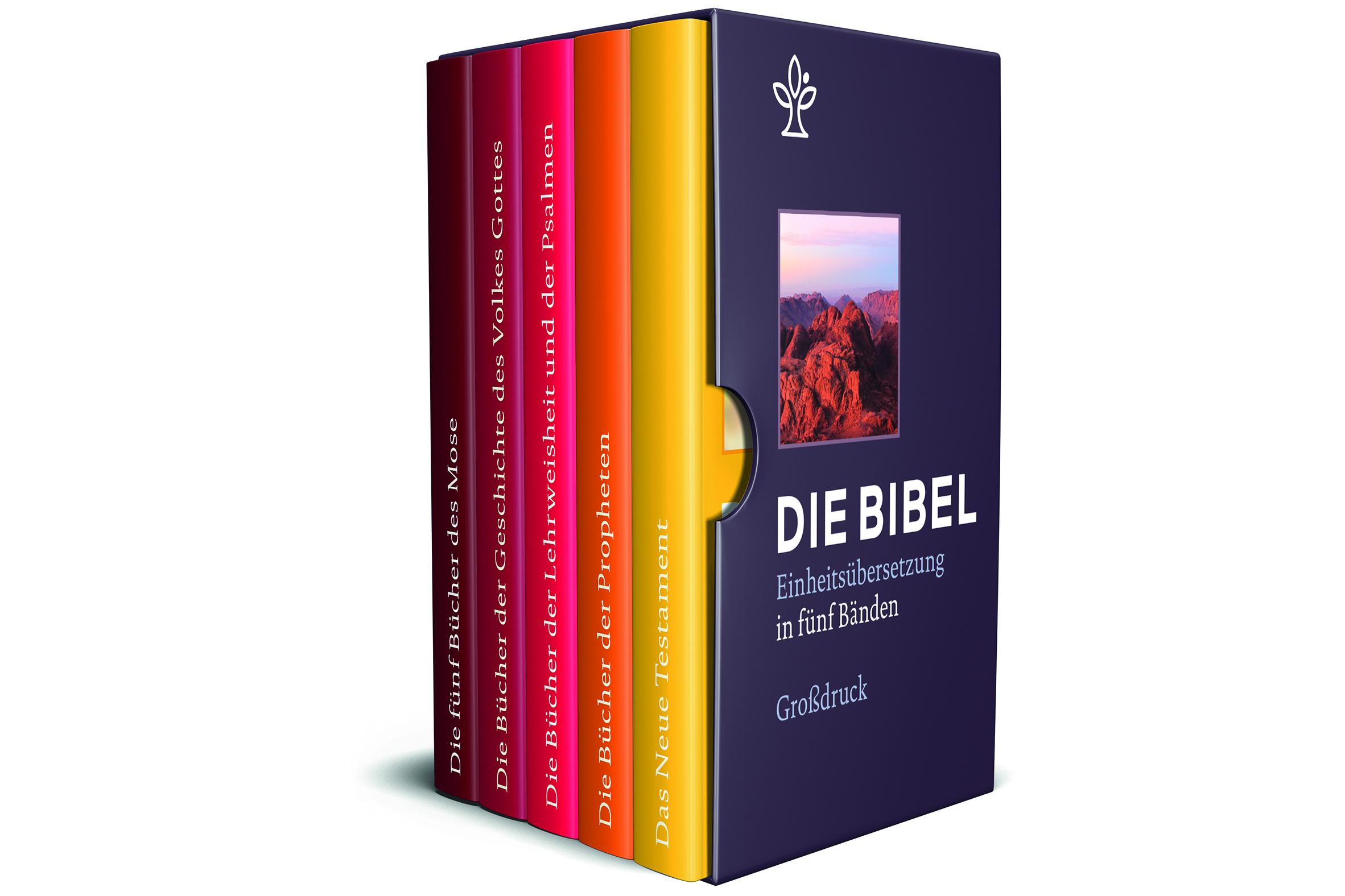 Die Großdruckbibel in fünf Bänden