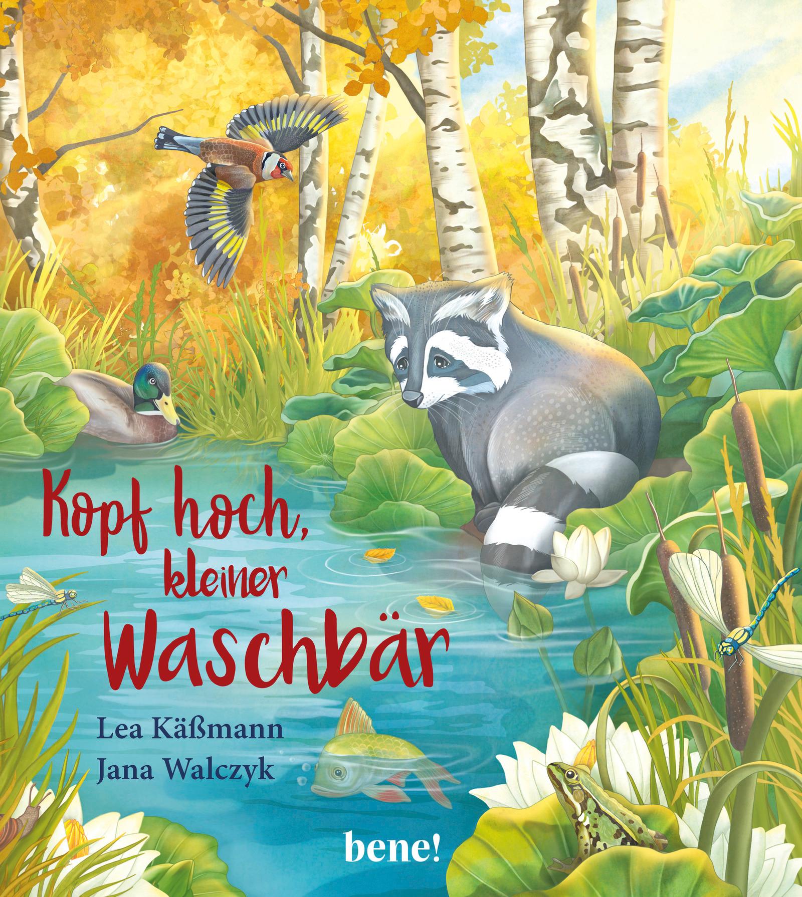 Kopf hoch, kleiner Waschbär – ein Bilderbuch für Kinder ab 2 Jahren