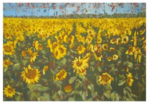 Sonnenblumenfeld