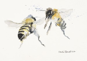 Bienen im Gespräch