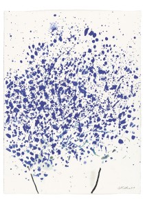 Blaues Blühen