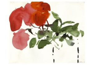 Vier Rosenblüten