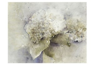 Weiße Hortensien