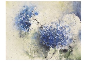 Blaue Hortensie