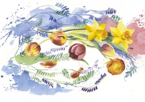 Osterglocken und Tulpen