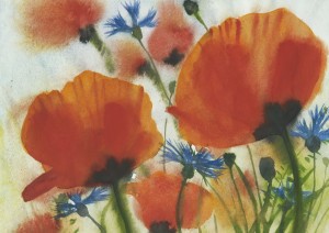 Kornblumen und Mohn