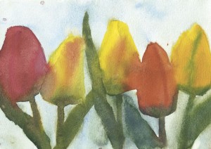 Blühende Tulpen