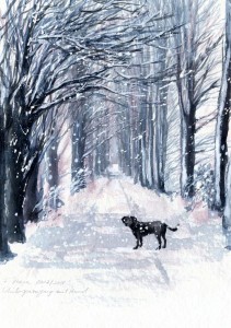 Winterspaziergang mit Hund