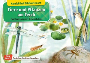 Tiere und Pflanzen am Teich. Kamishibai Bildkartenset