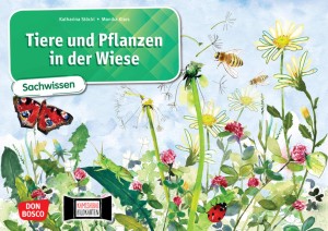 Tiere und Pflanzen in der Wiese. Kamishibai Bildkartenset