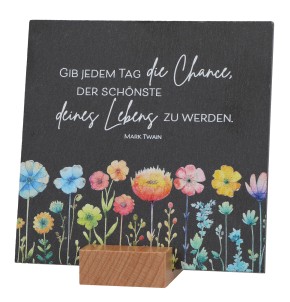 Schiefertafel - Die Chance