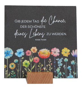 Schiefertafel - Die Chance