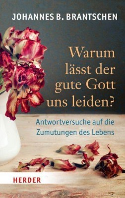 Warum lässt der gute Gott uns leiden?