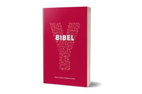 Y-Bibel, Jugendbibel der Katholischen Kirche, Auswahlbibel