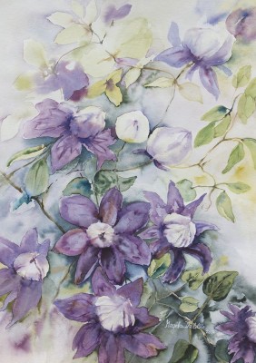 Clematis