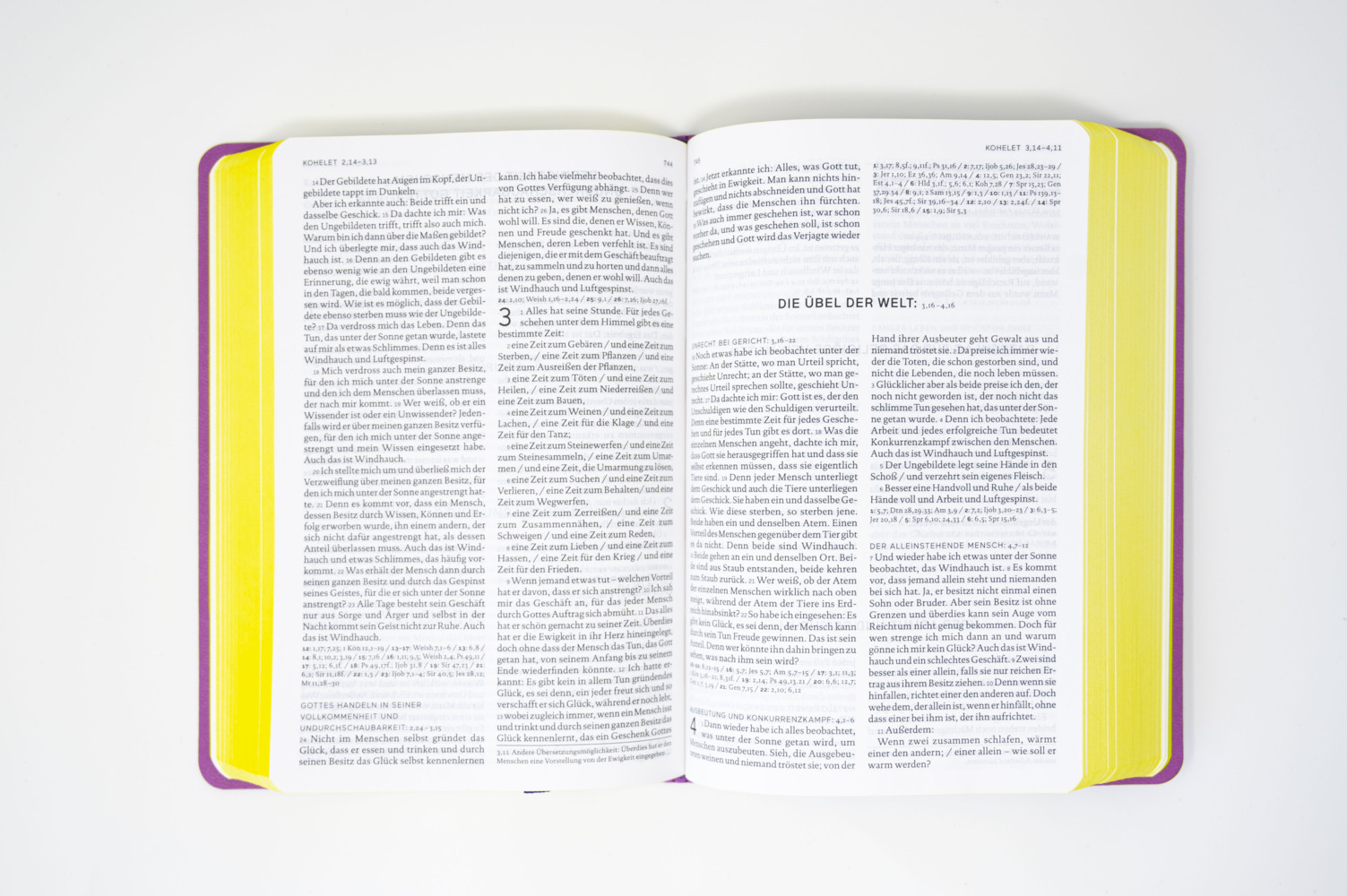 Die Bibel. Einheitsübersetzung (Revision 2017), Senfkorn, Handschmeichler lila