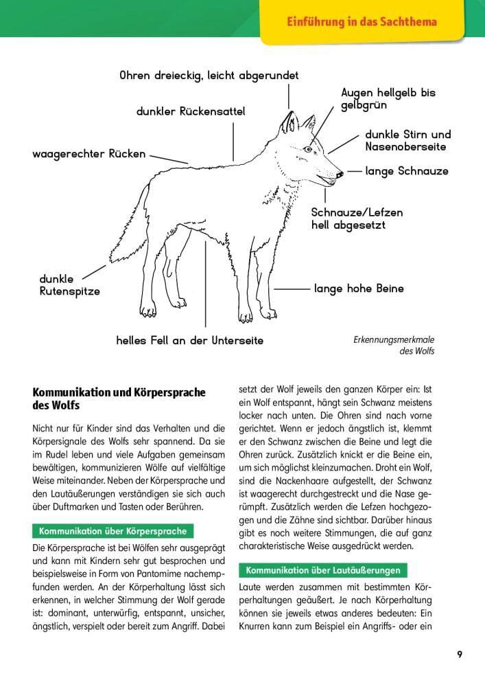Arbeitsmaterial Grundschule. Sachunterricht: Der Wolf., m. 1 Beilage