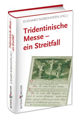Tridentinische Messe - ein Streitfall - Reaktionen auf das Motu Proprio Summorum Pontificium Benedikts XVI.
