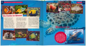 Wir entdecken die Schöpfung