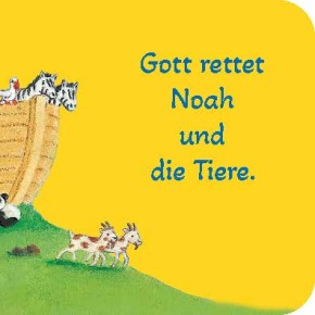 Arche Noah