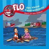 Sturm auf dem Waldsee - Minibuch