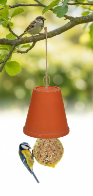 Bastelset zum Bemalen - Deine Vogelfutter-Glocke